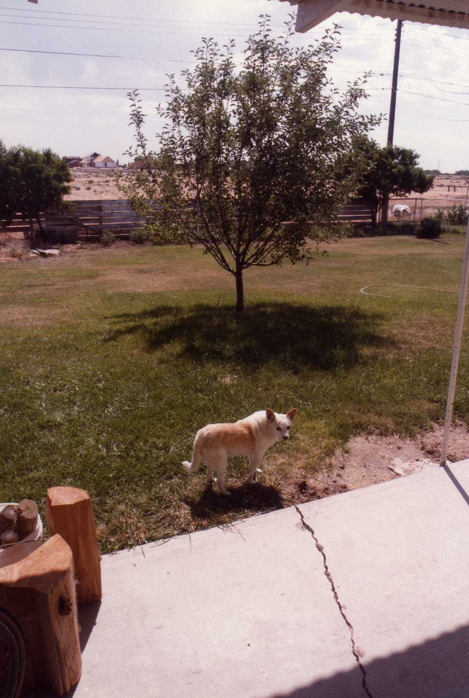 Image 35
